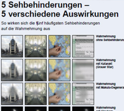 Sehbehinderung